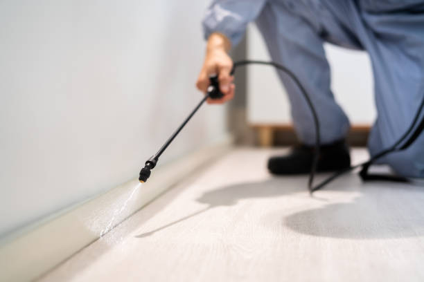 Certified termite inspector examining foundation in Evans City