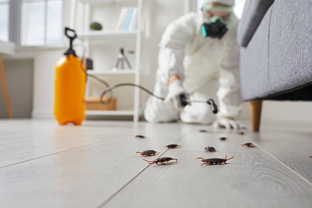 Post-Treatment Bed Bug Interceptor Monitoring in Evans City